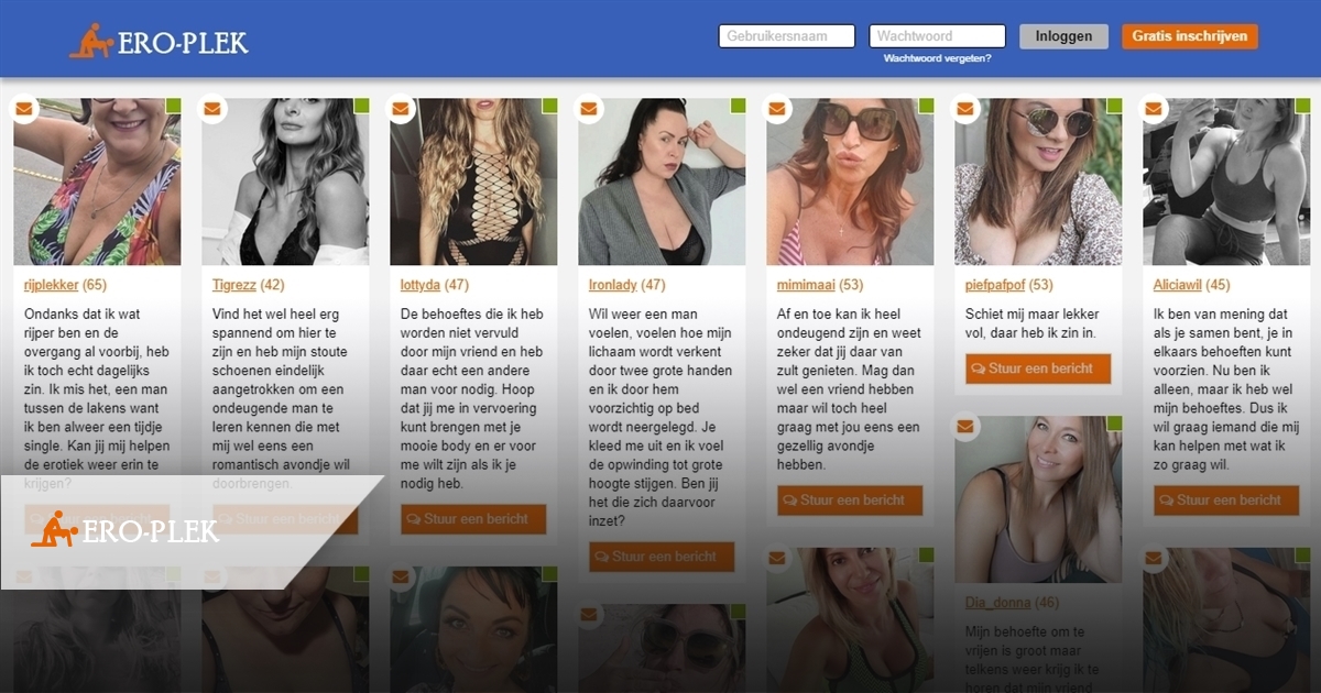 ero-plek is een neppe erotischechatsite met neppe profielen van vrouwen die aantrekkelijk zijn en opzoek naar erotische gesprekken online