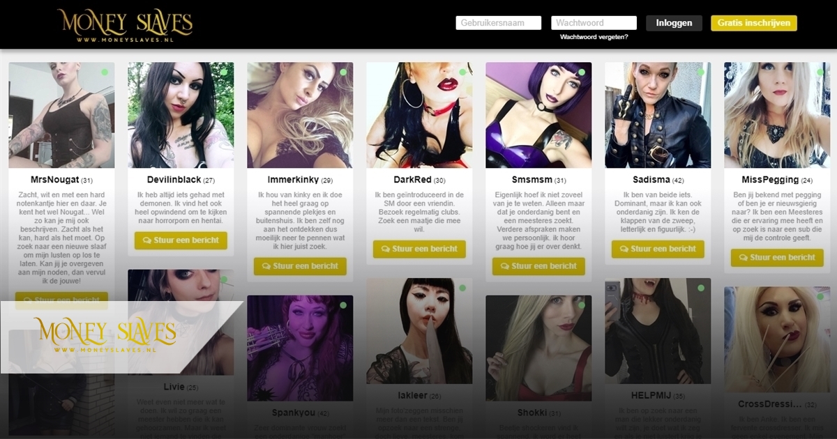 moneyslaves is een ondeugende chat website met fictieve profielen van geïnteresseerde vrouwen en mannen